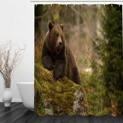 Bear Pattern Polyester Waterproof and Eco-friendly 3D Shower Curtain