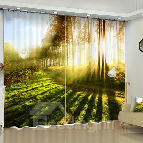 3D Green Fields and Bright Sunlight Printed 2 Panels Grommet Top Curtain