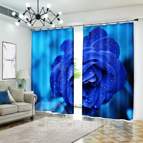 Cortinas de cortina 3D con rosa azul y gota de rocío, flor floreciente vívida